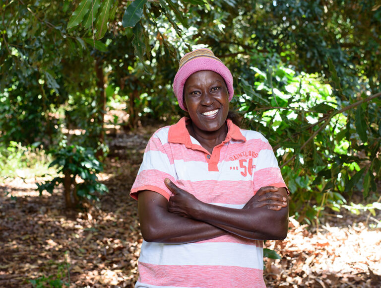 lady in macadamia farm